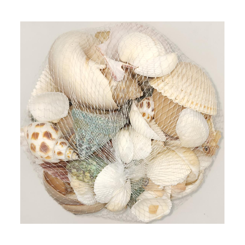 Buy Seashell Basket - Cappel's Costumes and Party Supplies
