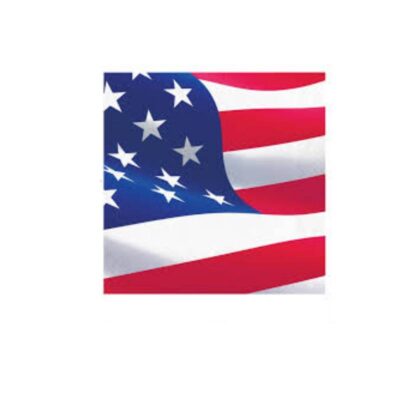 American-Flag-Napkins