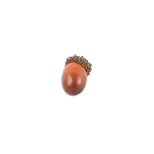 tan 25mm Single Harvest Acorns