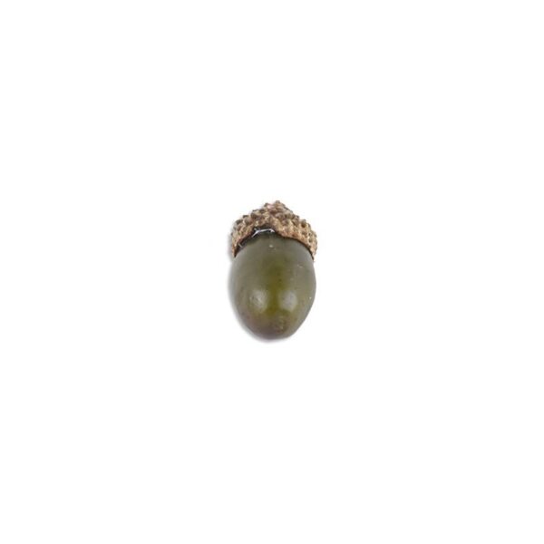 green 25mm Single Harvest Acorns