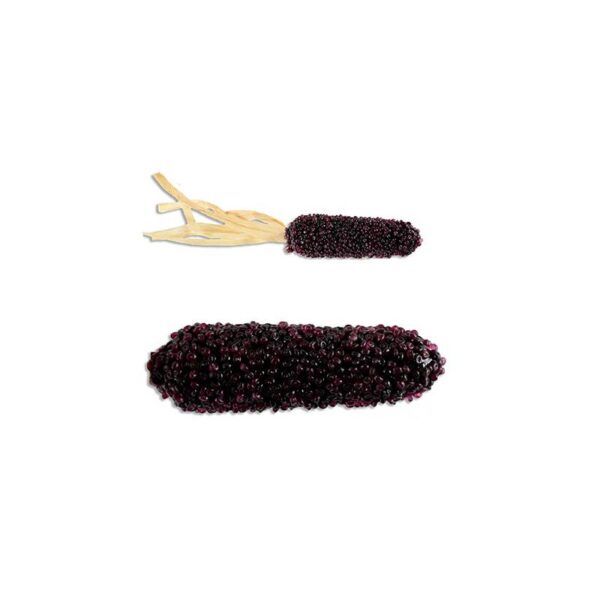 dark purple 11" Artificial Beaded Harvest Corn