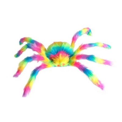 Furry Rainbow Spider