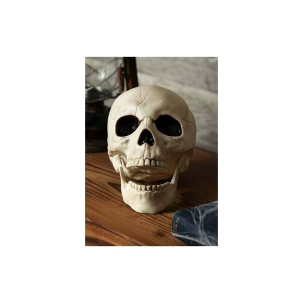 8" Plastic Skull w Moveable Jaw