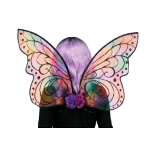 rainbow Costume Sparkle Wings