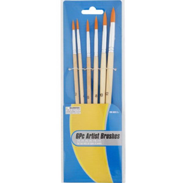 6 Piece Artist Brush Set