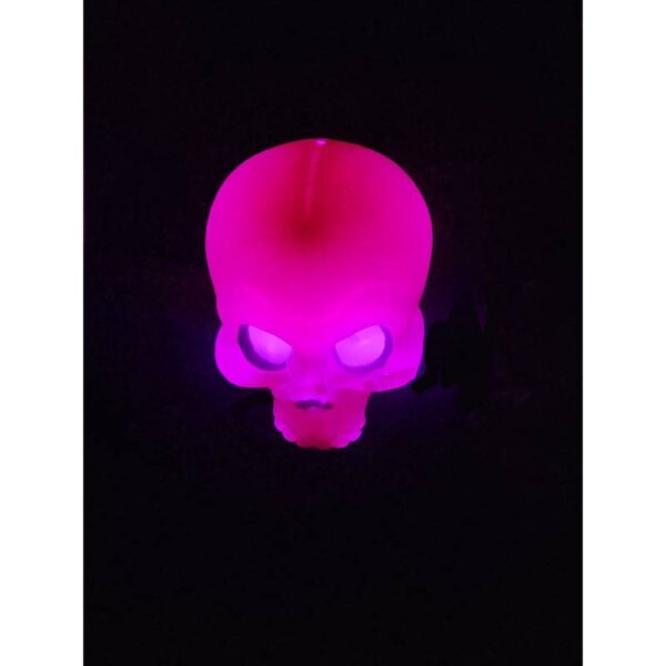 6" x 8" Batt-Op Light Up Color Changing Plastic Skull